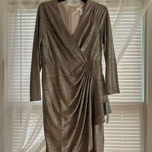 Maggy London special occasion dress